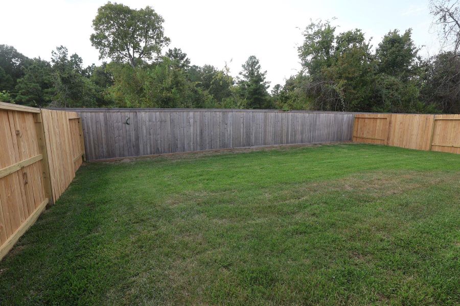 Great backyard Great backyard