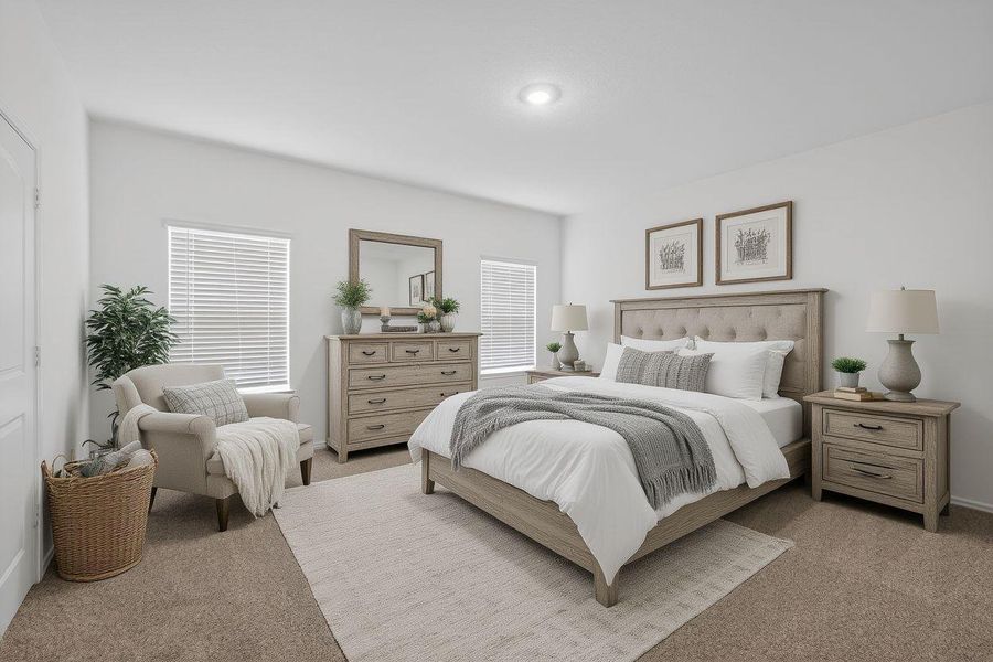 virtual stage  primary