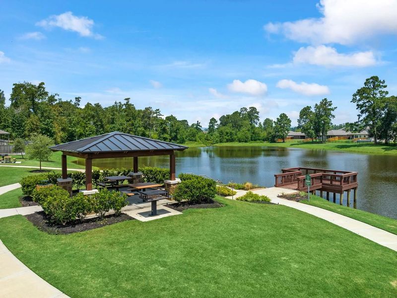Community amenities in Lakes at Black Oak, Magnolia (Image 6).