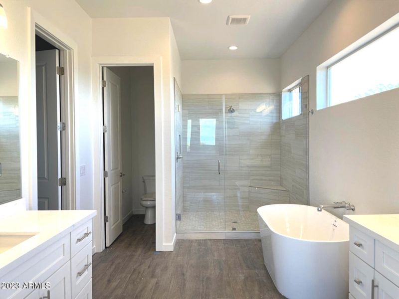 Master Bath