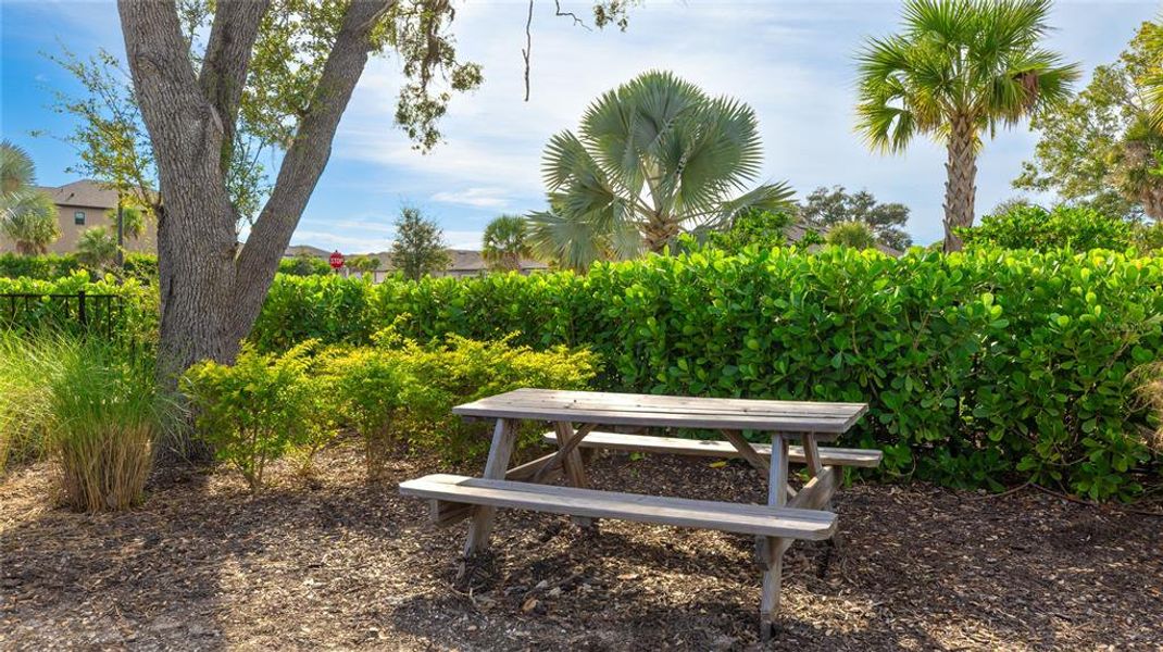 Natural landscape and outdoor views near Palmero in Nokomis (Image 41).