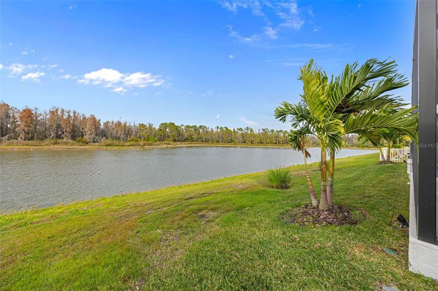 Natural landscape and outdoor views near in Wesley Chapel (Image 81). Natural landscape and outdoor views near in Wesley Chapel (Image 81).