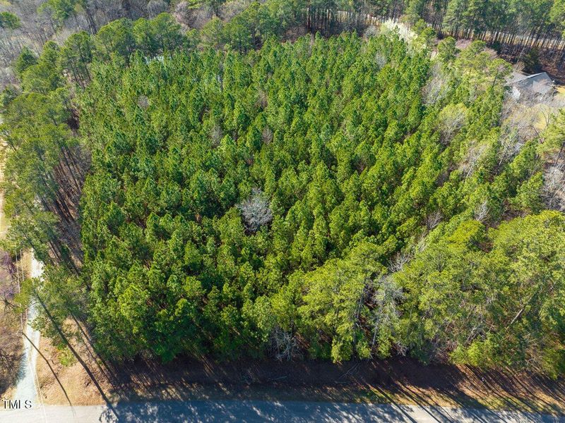 016-422LowerThrift-Parcel-67231-20250318