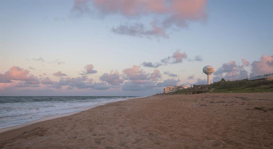 Flagler Beach is just 20 minutes away!