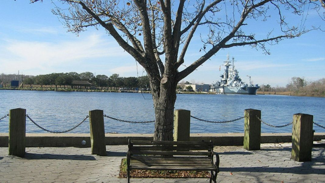 Image 8 representing the COVINGTON by D.R. Horton in Cedar Hill Landing, Navassa, NC.