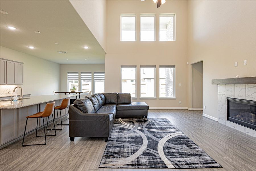 High Ceiling Family Room