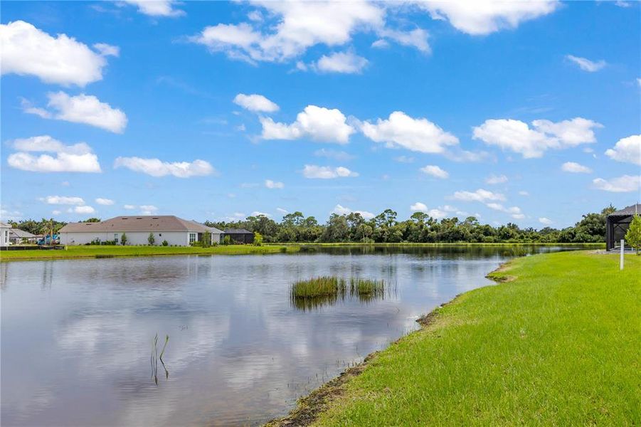 Natural landscape and outdoor views near  in Sarasota (Image 45).