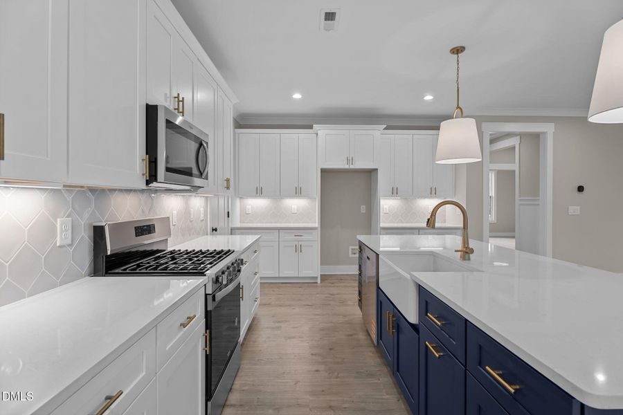 32-web-or-mls-DSC00602