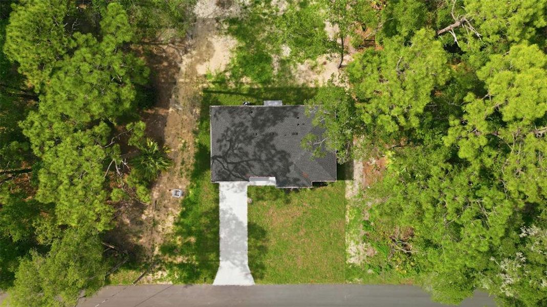 Natural landscape and outdoor views near  in Crystal River (Image 25).