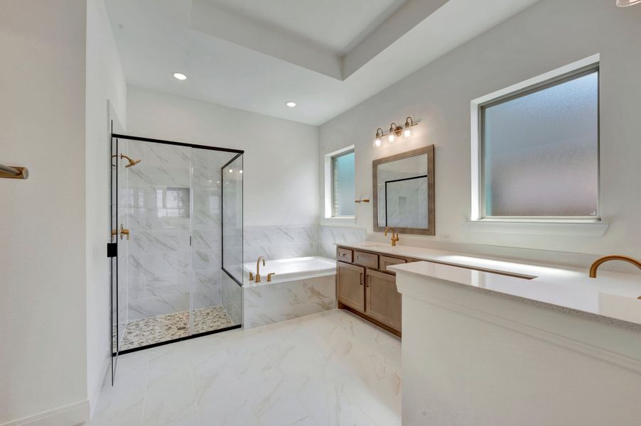 Owner's Bath