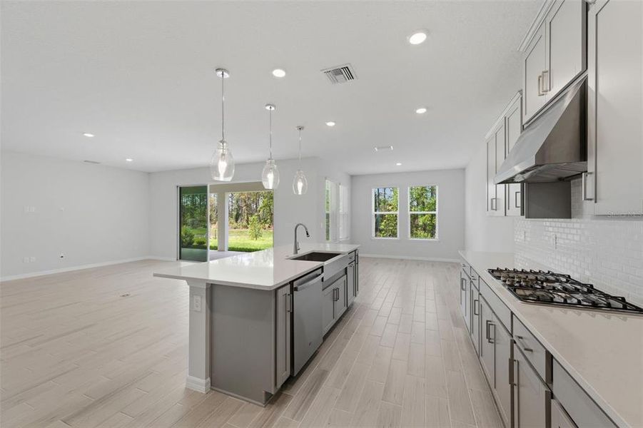 Furnished interior view inside a new home in Hammock at Two Rivers, Zephyrhills (Image 7).