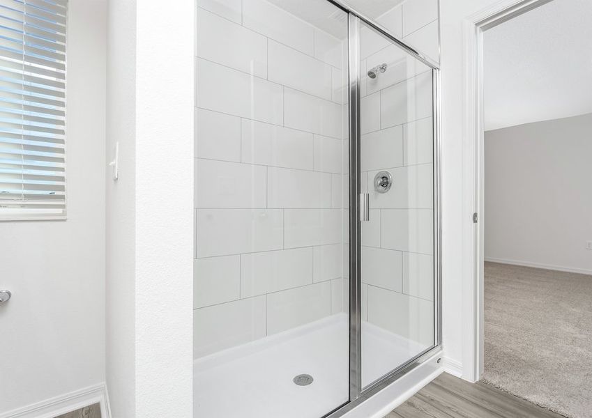 Step-in shower in the master bathroom