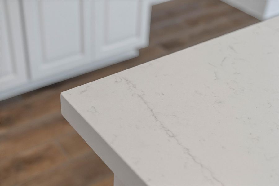 Kitchen countertops - white quartz with subtle, elegant gray veining and a clean, modern edge profile.