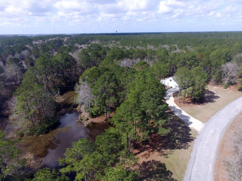 Natural landscape and outdoor views near  in Awendaw (Image 58).