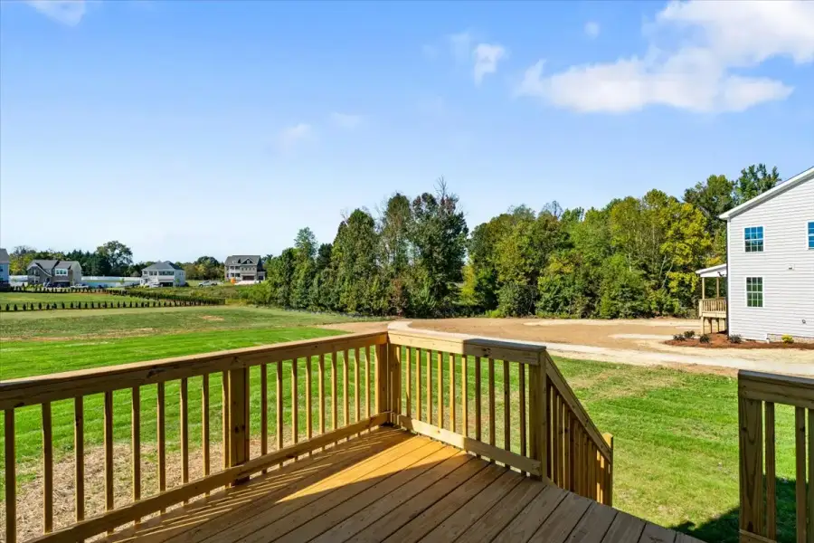 Exterior details and patio area of a home in Lilah Grove, Summerfield (Image 4).