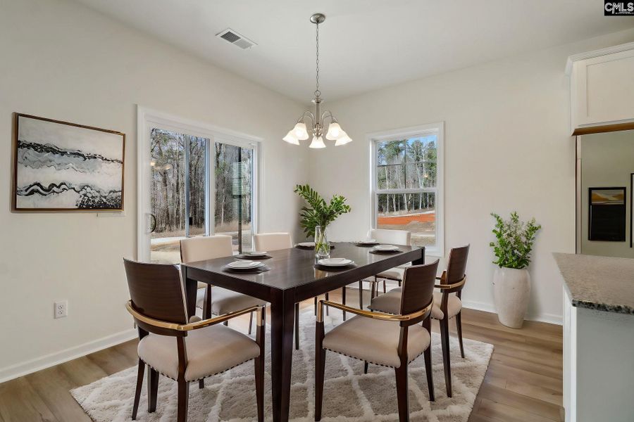 Furnished interior view inside a new home in Boykin Hills, Chapin (Image 11).