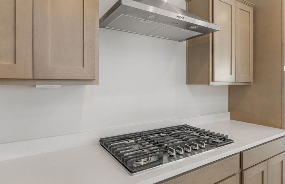 Close-up of interior finishes inside a home in Artisan at Asante, Surprise (Image 16).