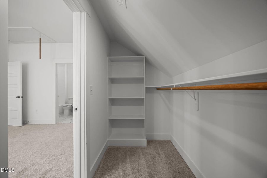 5-web-or-mls-IMG_5975