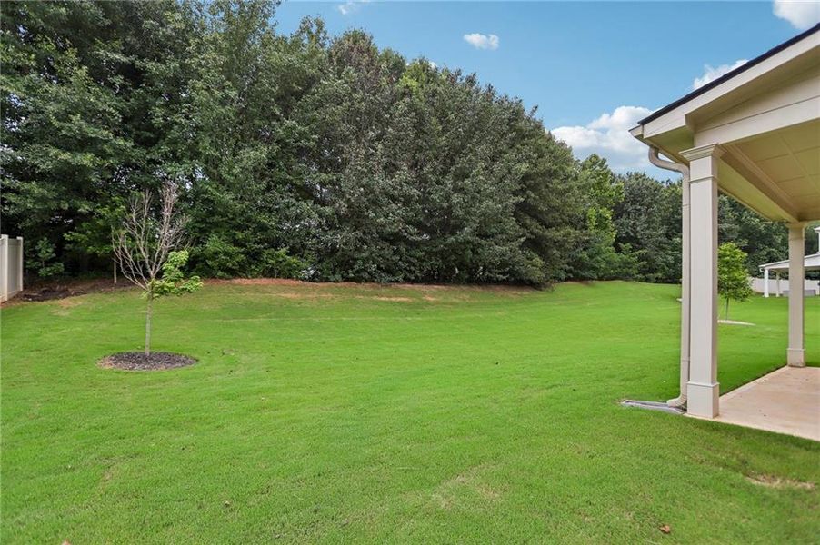 Exterior details and patio area of a home in , McDonough (Image 25).