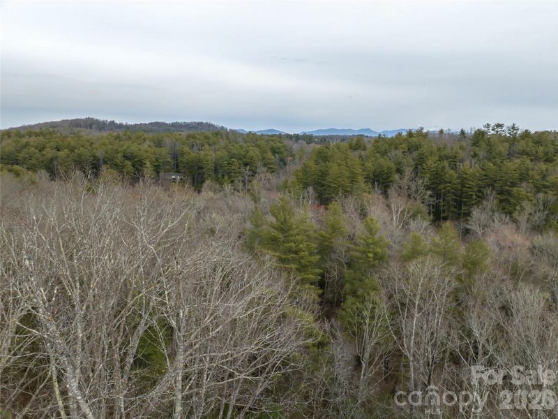 Natural landscape and outdoor views near  in Asheville (Image 20).