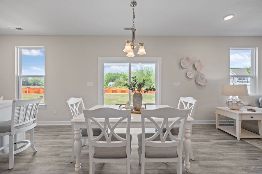 Furnished interior view inside a new home in Neill's Pointe, Angier (Image 11).