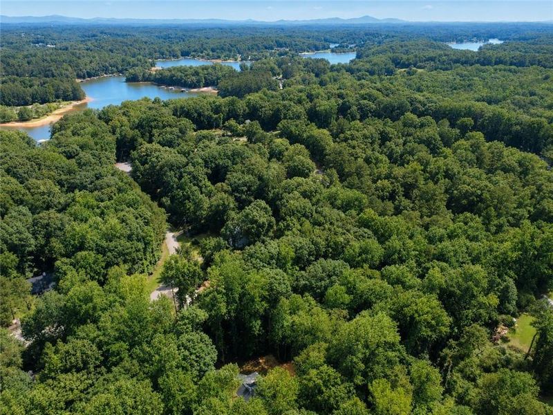 Natural landscape and outdoor views near  in Dawsonville (Image 44).