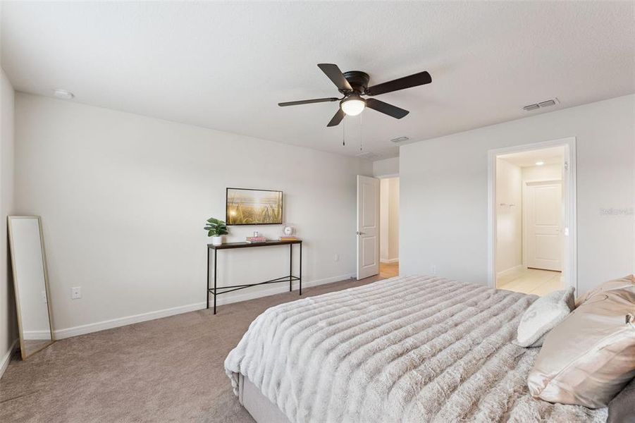 Furnished interior view inside a new home in , Clermont (Image 12).