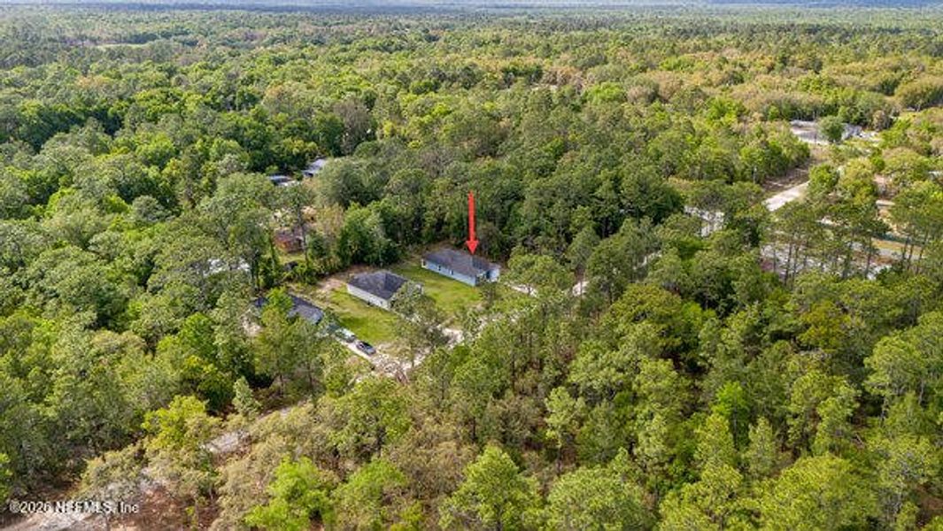 Natural landscape and outdoor views near  in Satsuma (Image 48).