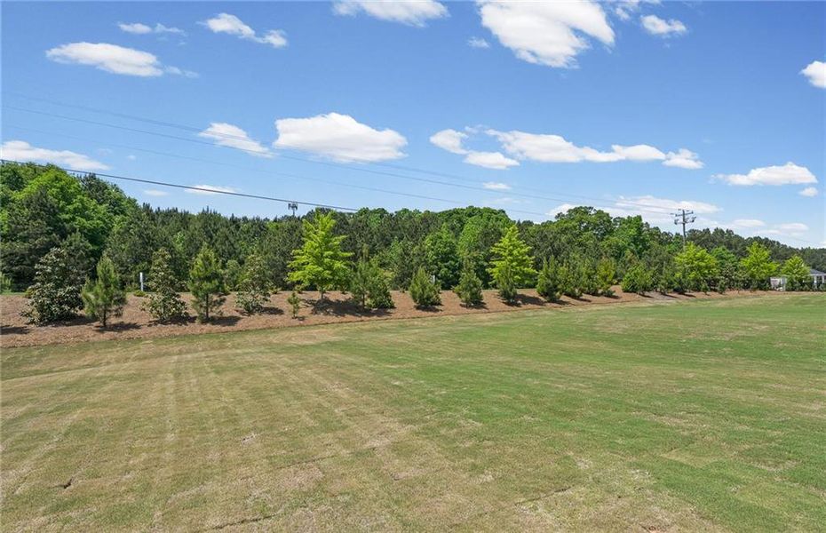 Natural landscape and outdoor views near Overland in Locust Grove (Image 44).