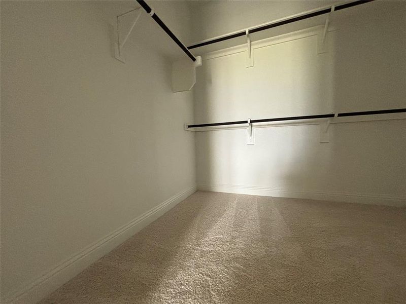 Walk in closet featuring carpet flooring