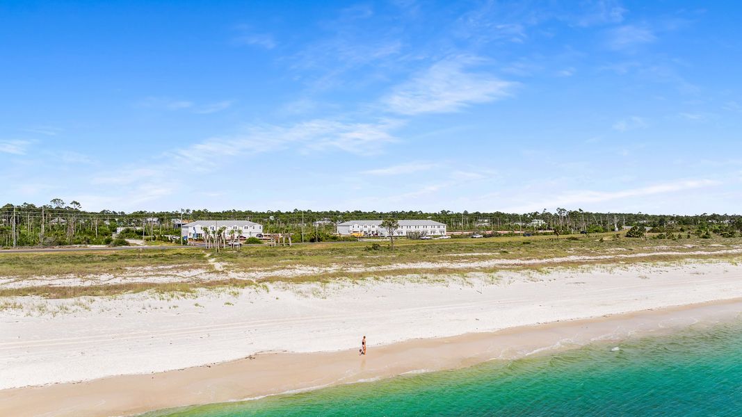 Natural landscape and outdoor views near WindMark Beach in Port Saint Joe (Image 31).