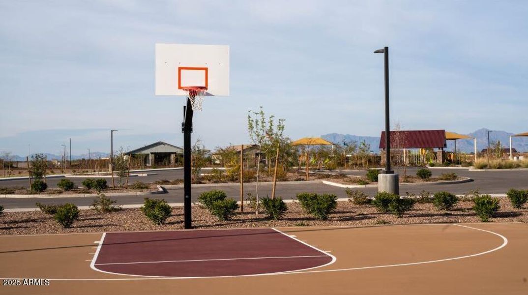 Basketball Court