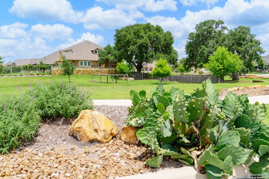 Natural landscape and outdoor views near The Crossvine 55’ in Schertz (Image 19). Natural landscape and outdoor views near The Crossvine 55’ in Schertz (Image 19).