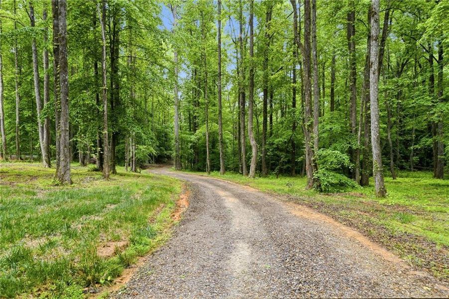 Natural landscape and outdoor views near  in Ball Ground (Image 42).
