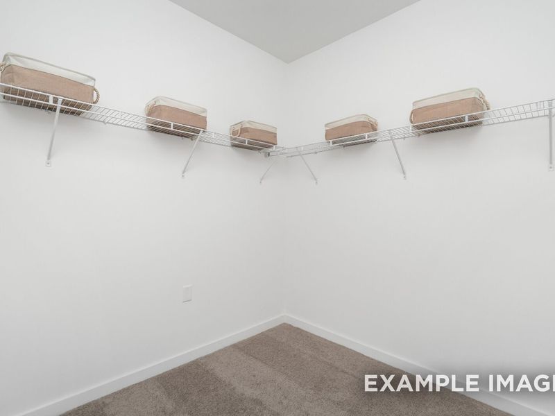Spacious, unfurnished interior of a new home in Woods Crossing, Gallatin (Image 88).