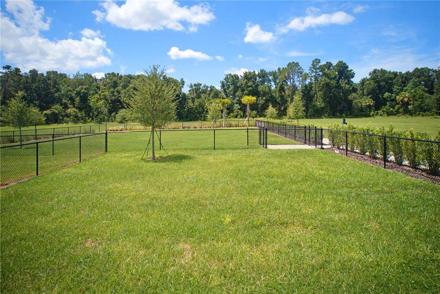 Natural landscape and outdoor views near in Ocoee (Image 29). Natural landscape and outdoor views near in Ocoee (Image 29).