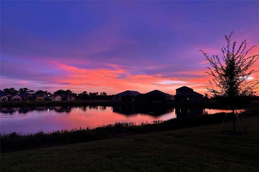 Natural landscape and outdoor views near  in Nokomis (Image 46).