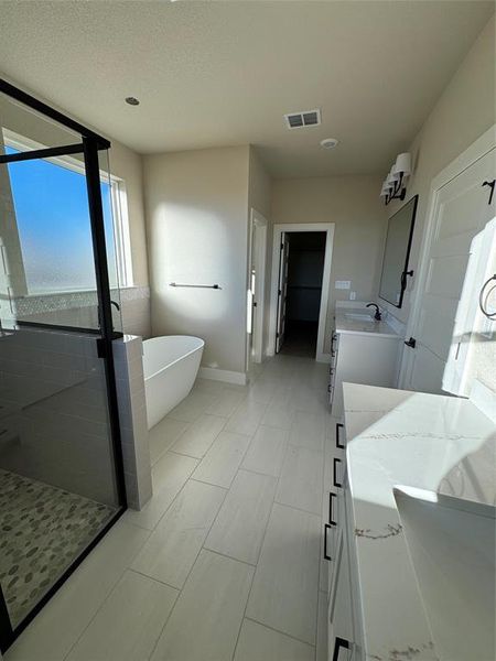 Bathroom with vanity and shower with separate bathtub