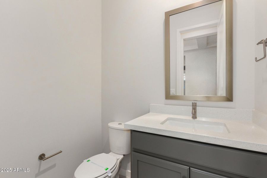 31 - Royal Palm 31 - Royal Palm