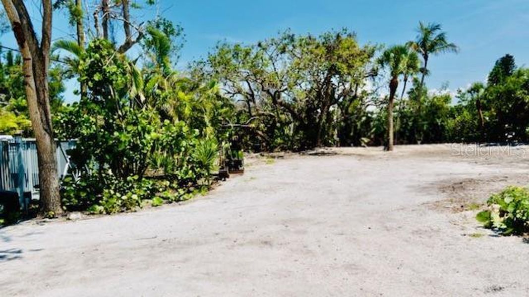 Natural landscape and outdoor views near  in Sarasota (Image 4).