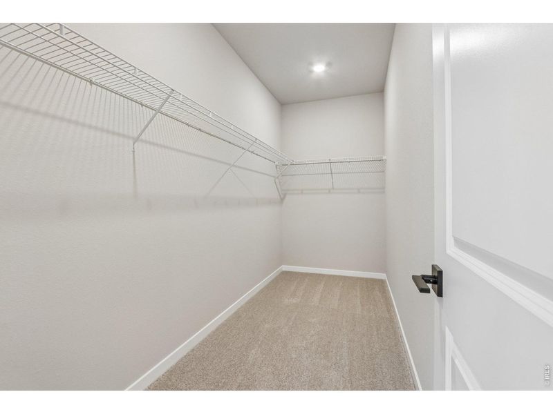 Spacious, unfurnished interior of a new home in Farmstead, Berthoud (Image 19).