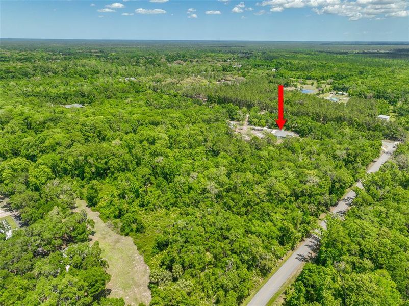 Natural landscape and outdoor views near  in Pierson (Image 40).