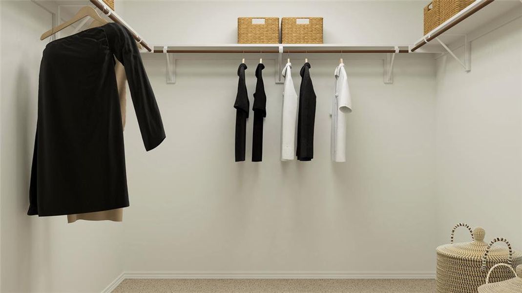 Spacious closet featuring carpet flooring