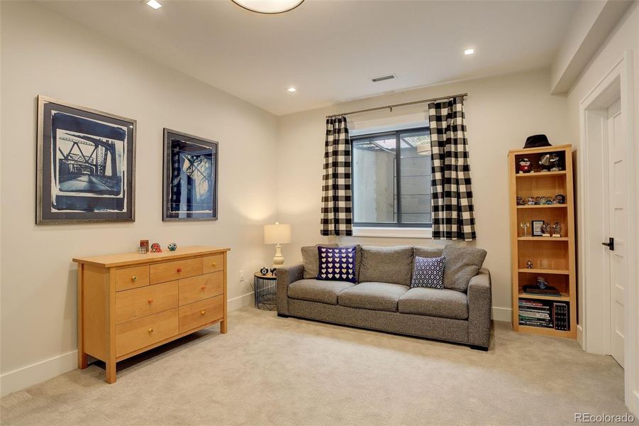 Basement Bedroom with Walk-in Closet