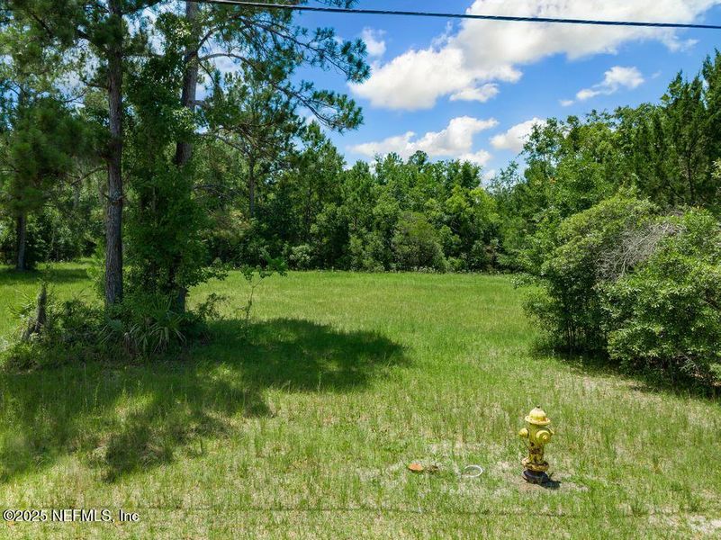 Natural landscape and outdoor views near  in Jacksonville (Image 50).