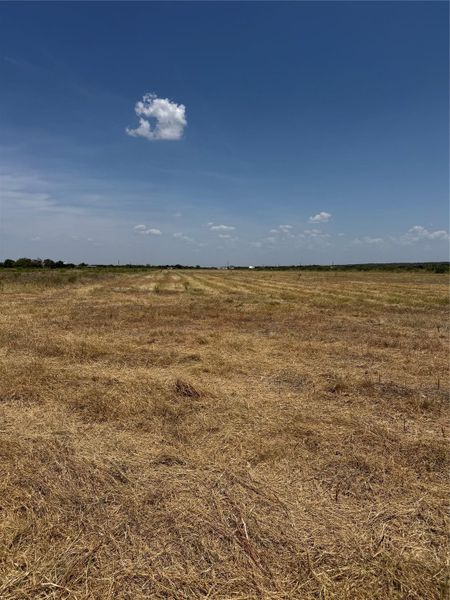 Level pasture land stretches toward the horizon under a vast blue sky.