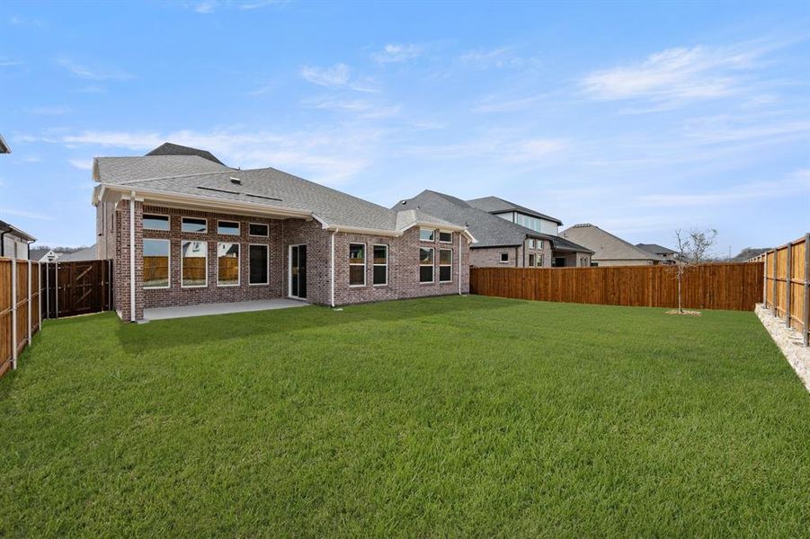 633 Bunchberry- Back-1