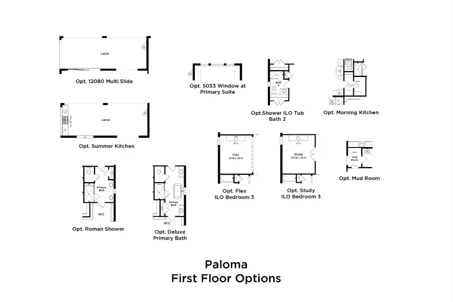2D floor plan layout for the Paloma by DRB Homes in Preserve at Old Mill, Wesley Chapel, FL (Image 4).