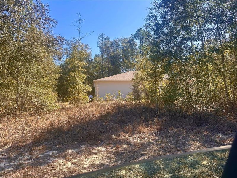 Natural landscape and outdoor views near  in Citrus Springs (Image 18).