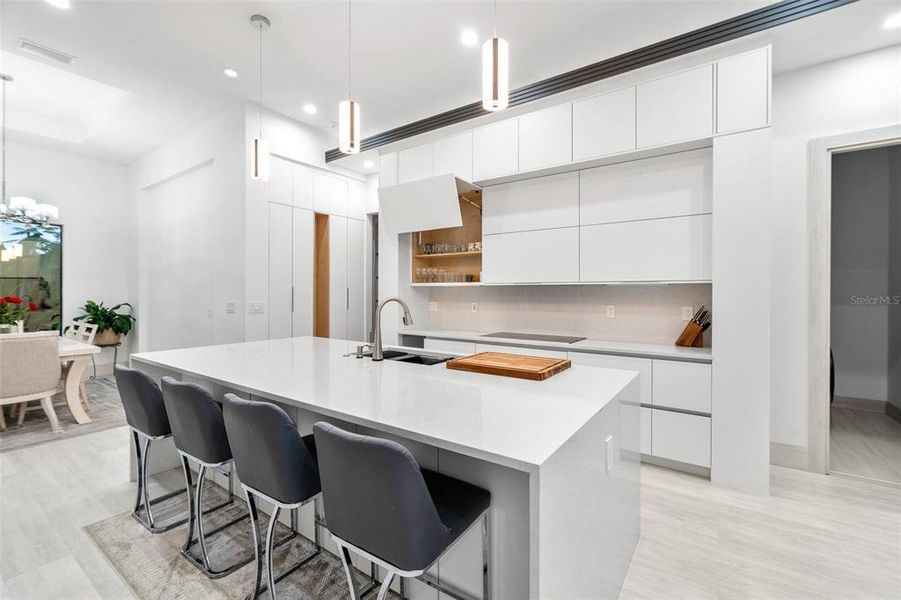 Furnished interior view inside a new home in , Venice (Image 8). Furnished interior view inside a new home in , Venice (Image 8).